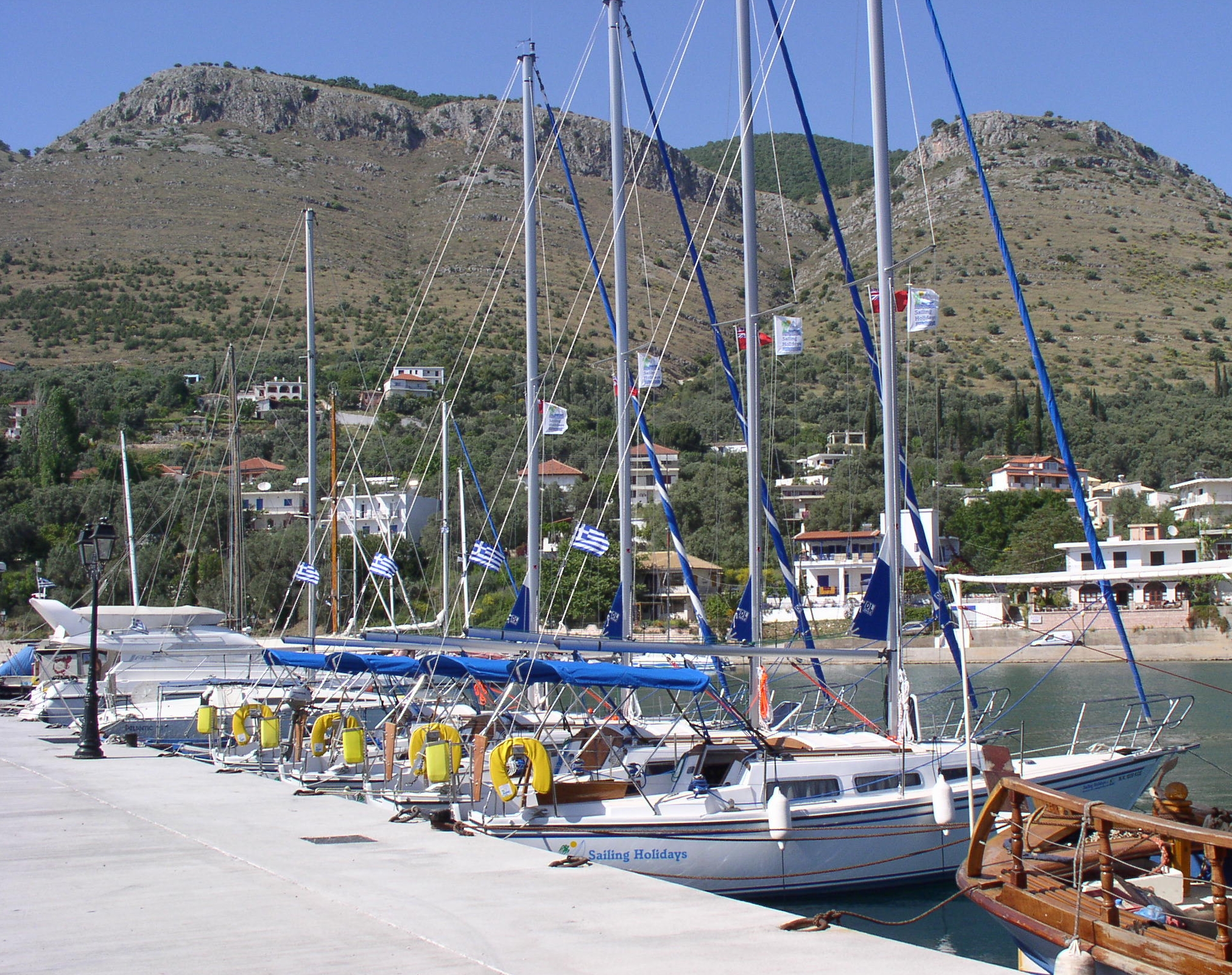 Some of the Jaguars lined up at Plataria